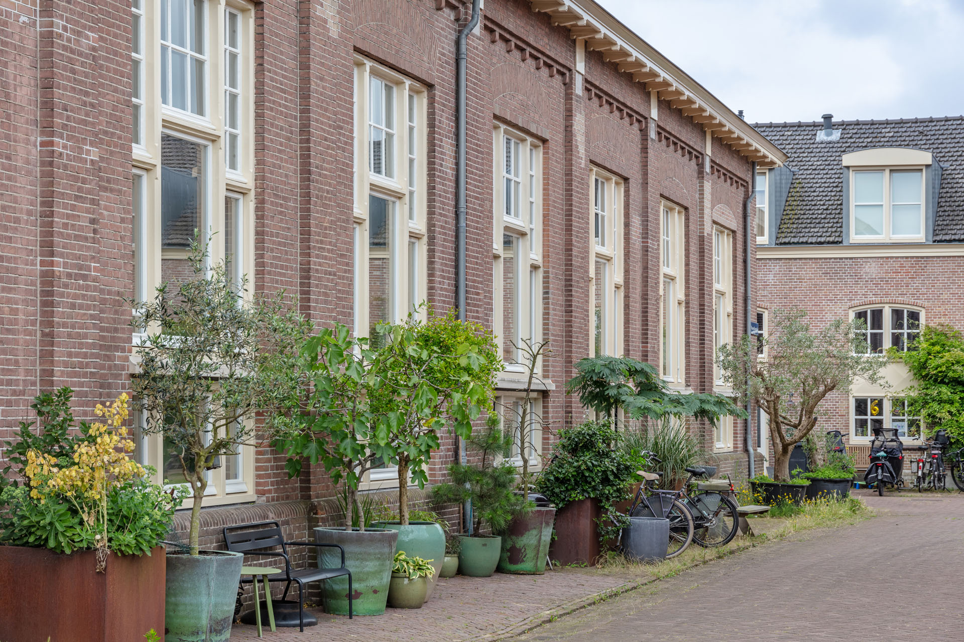 HAARLEM_RIPPERDA_1