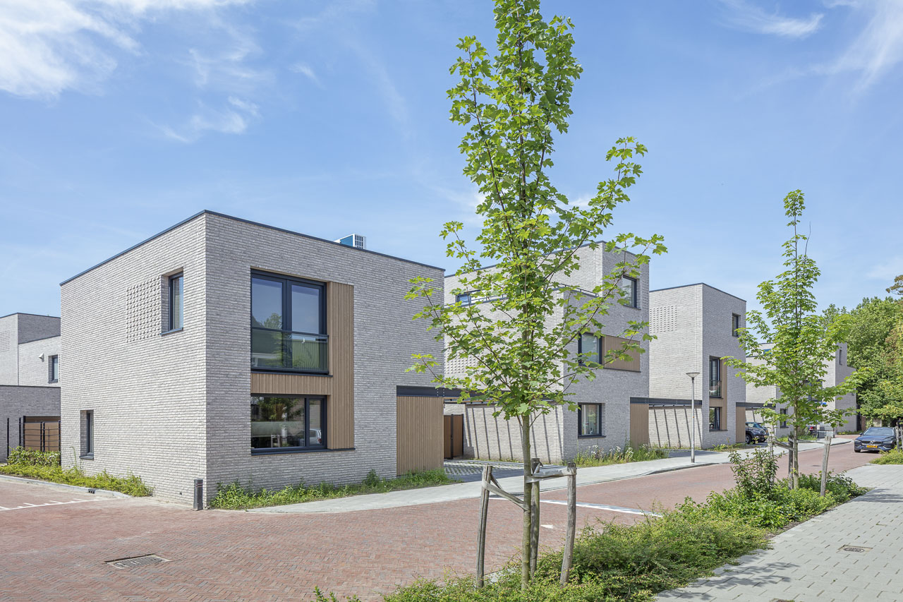 De Stadsrichters